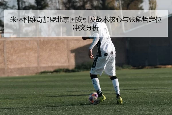 mi-lin-ke-wei-qi-jia-meng-bei-jing-guo-an-yin-fa-zhan-shu-he-xin-yu-zhang-xi-zhe-ding-wei-chong-tu-fen-xi-2-247.jpg