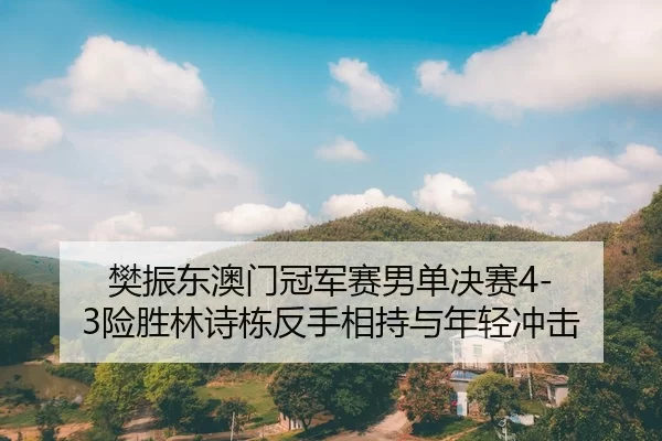 樊振东澳门冠军赛男单决赛4-3险胜林诗栋反手相持与年轻冲击